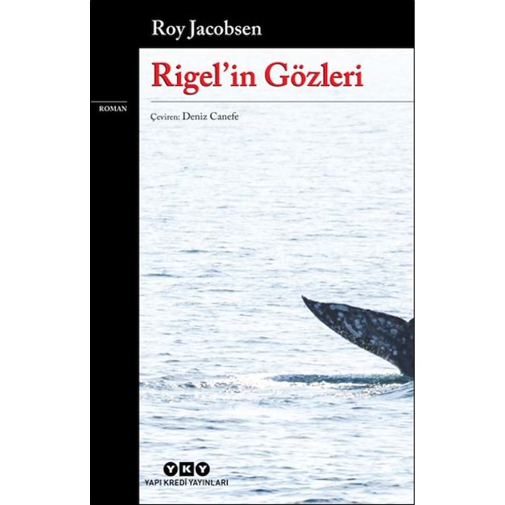 Rigelin Gözleri