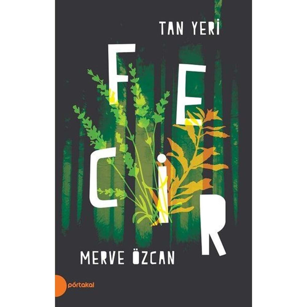 Tan Yeri 2 Fecir