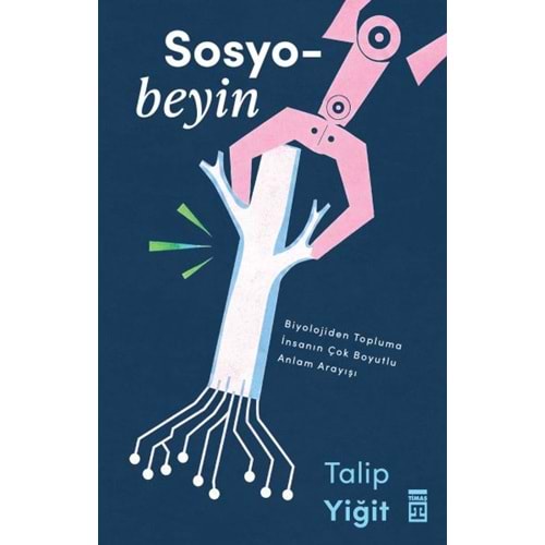Sosyobeyin
