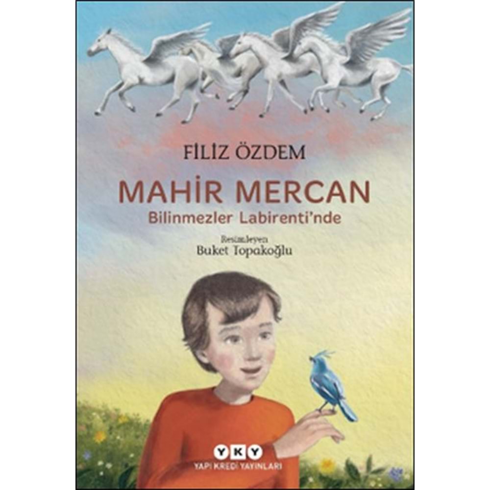 Mahir Mercan Bilinmezler Labirentinde