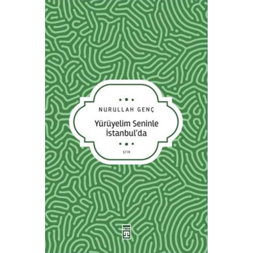 Yürüyelim Seninle İstanbul’da
