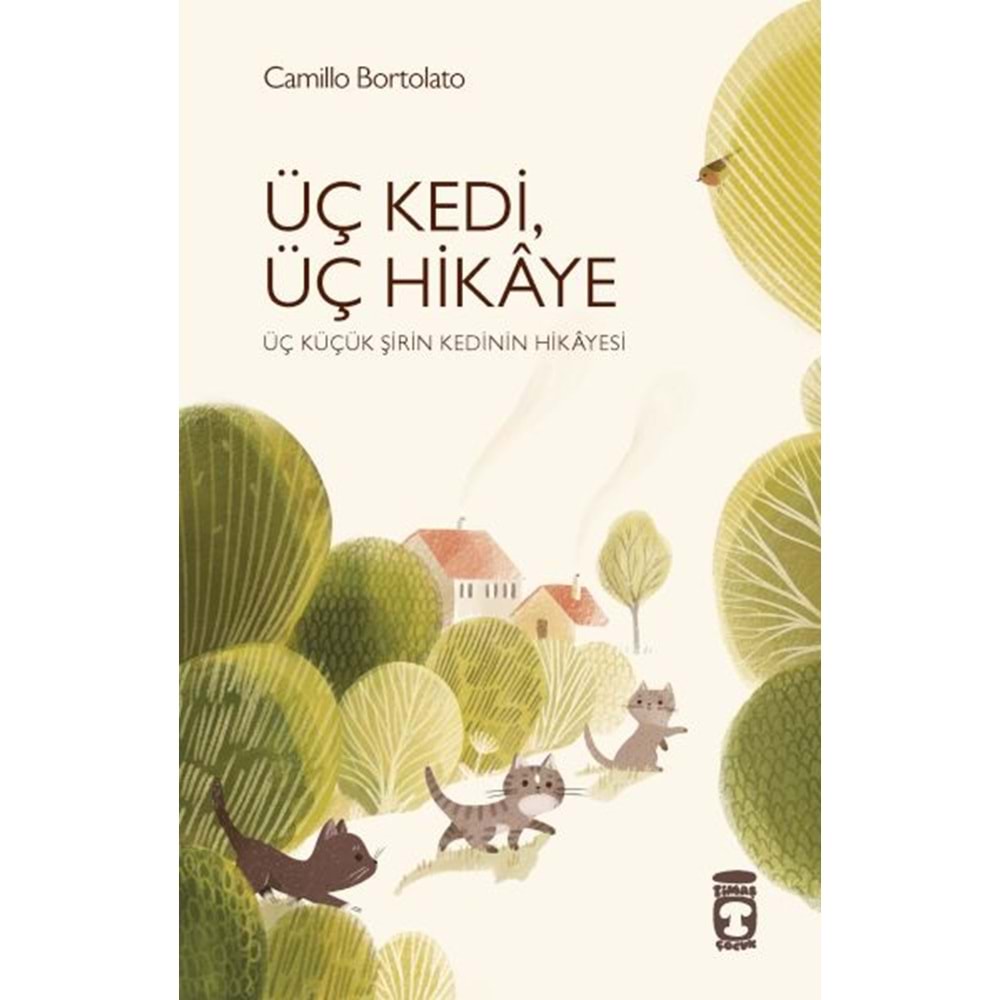 Üç Kedi, Üç Hikaye
