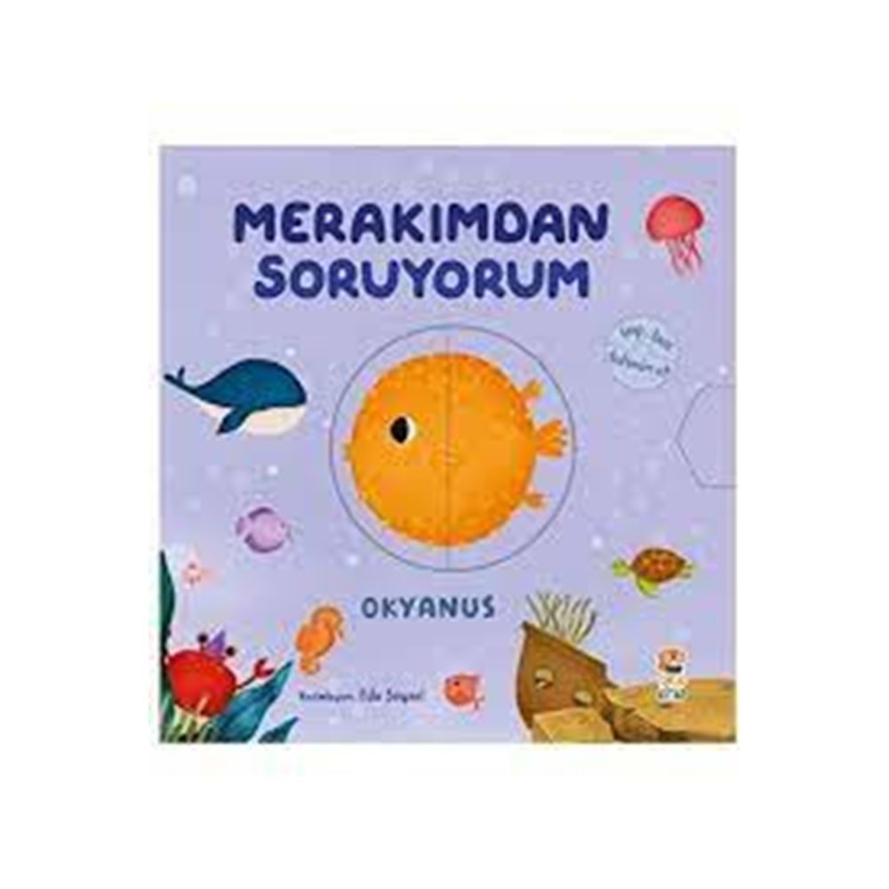 Merakımdan Soruyorum - Okyanus
