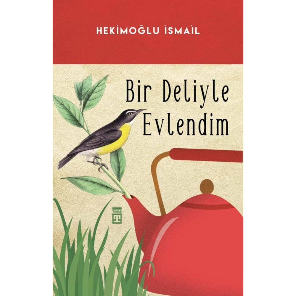Bir Deliyle Evlendim