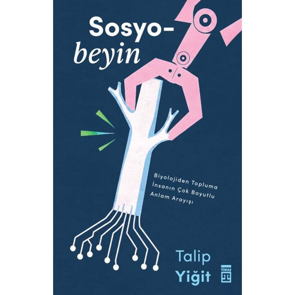 Sosyobeyin